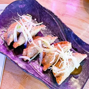 Crispy Barbacoa Dumplings