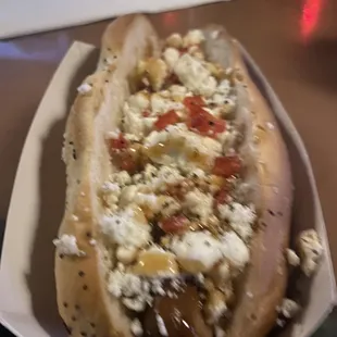 A terribly blurry photo of a Greek Veggie dog
