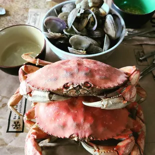 Crabs roughly 2lbs each at $7.99lb &amp; 1.5lb of manilla clams at $3.99lb (11.2020)