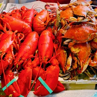 a large pile of lobsters