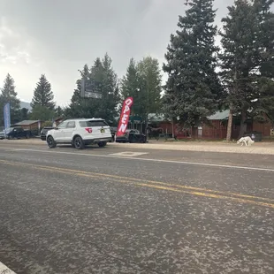 Restaurant Bar actually open on Sunday