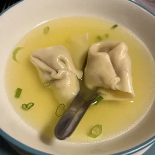 Wonton Soup