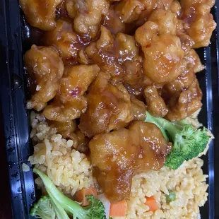 chicken and rice in a plastic container