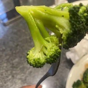 Larvae in my broccoli