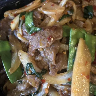 Mongolian Beef