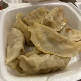 Fried Dumplings