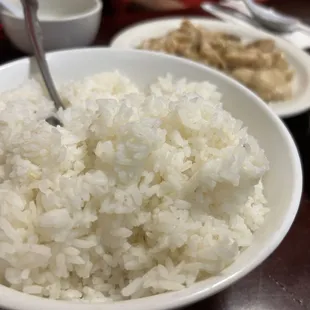 Rice