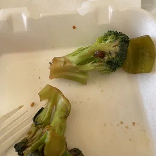 Caterpillars in my Beef with Broccoli