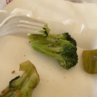 Caterpillars in my Beef with Broccoli