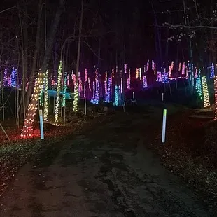 Lucy Depp Park Light Show