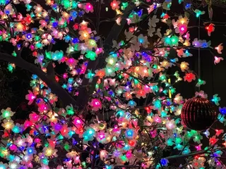 Butch Bando's Fantasy of Lights