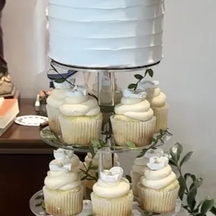 Regular delicious cupcakes