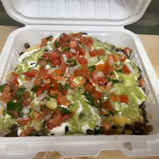 Carne Asada Fries