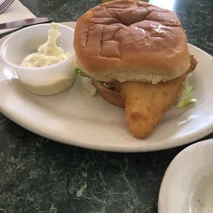 Fish sandwich. Just what my daughter wanted!