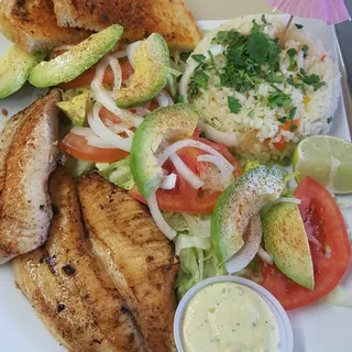 Tilapia