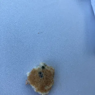 Heart broken. This place was never like this.