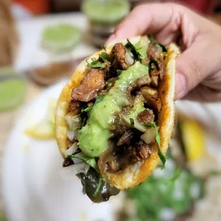 a hand holding a taco