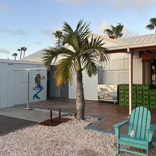 a lounge chair and palm tree