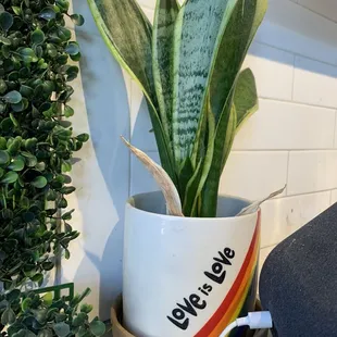 Love love the music and vibe