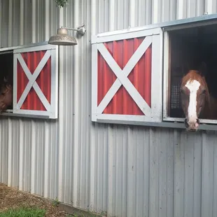 Just chilling while laying over at Lugo Ranch before heading on to Lincoln Nebraska for NHSRF.
