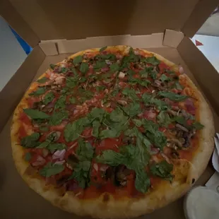 Veg pizza no cheese. (Ordered this way)