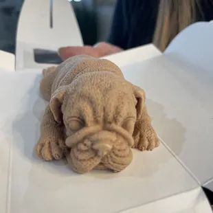 Chocolate mousse puppy