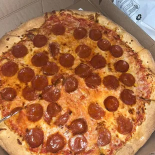 16&quot; Large Pizza