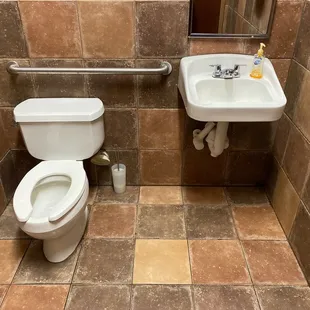 a toilet and sink