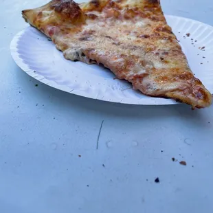 Plain cheese pizza slice, $2.75 + tax + tip