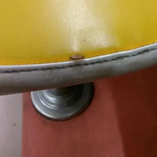 This roach was here to have breakfast too never again will I eat hete