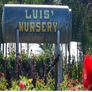 Luis&apos; Nursery garden center