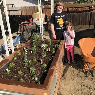 Our raised bed fill with plants from Luis&apos;s nursery.