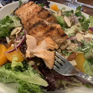 Salmon Salad