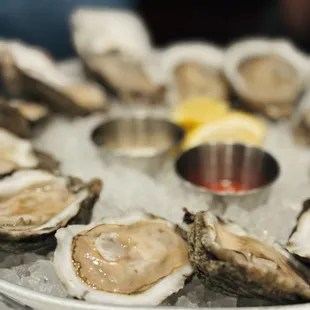 Gulf Oysters