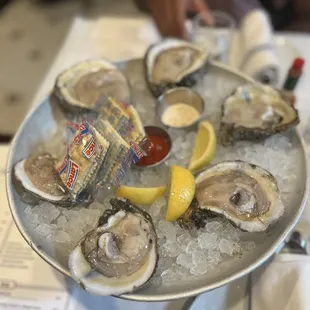 Huge Louisiana Gulf Oysters