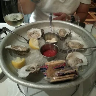 LA Gulf Oyster