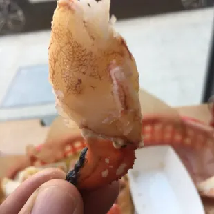 Crab Claws