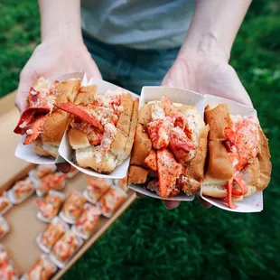 Lobster Roll