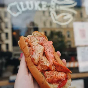 Get your cameras ready! Lobster rolls are are EXTREMELY photogenic