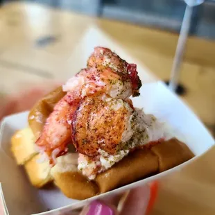 Nice large chunks of lobster