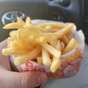 Fries that tasted almost exactly like McDonalds. The picture doesn't accurate show just how much you get.