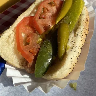 Chicago dog