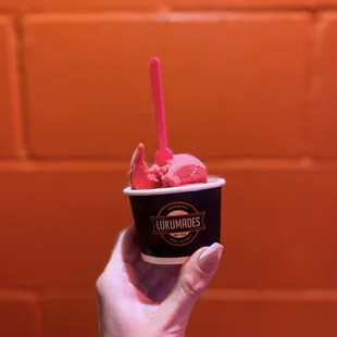 Raspberry sorbet