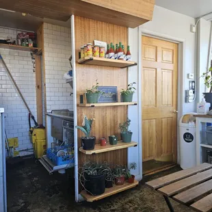 shelves with pots and plants