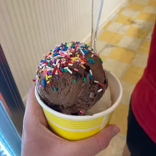 Double Scoop of Chocolate Love and Beautiful Struggle