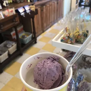 Blueberry jasmine kid scoop