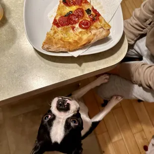 Crisp N Cup Pepperoni with Mikes Hot Honey