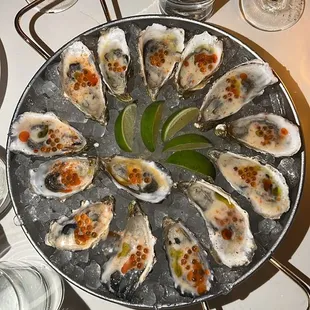 Oysters!