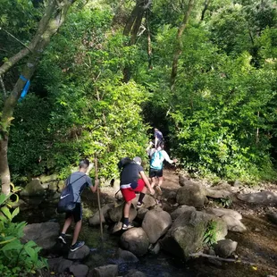 ...follow the leader