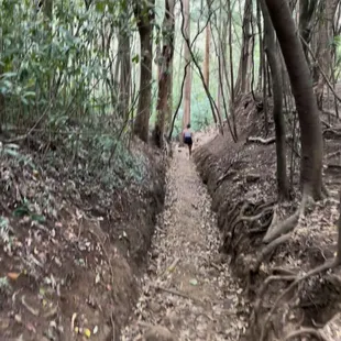 Clear path to follow